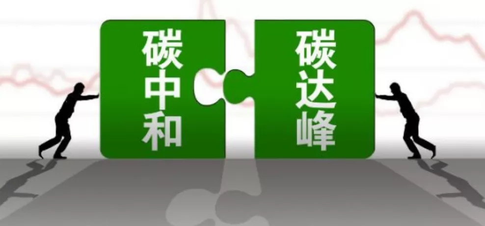 1635471536332062362.jpg 640.webp.jpg