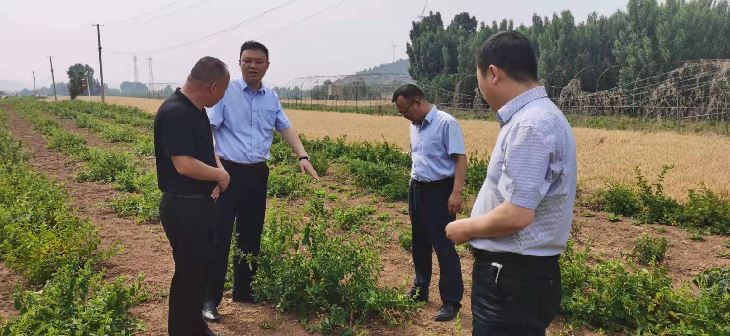 1637550321605074769.jpg 微信图片_20211110115511.jpg