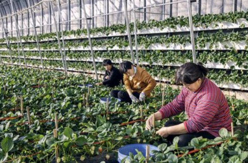 1644803158006089809.png QQ截图20220211093012.png