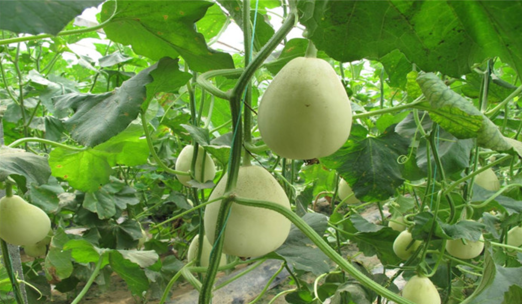 1644803170006088281.png QQ截图20220211093341.png