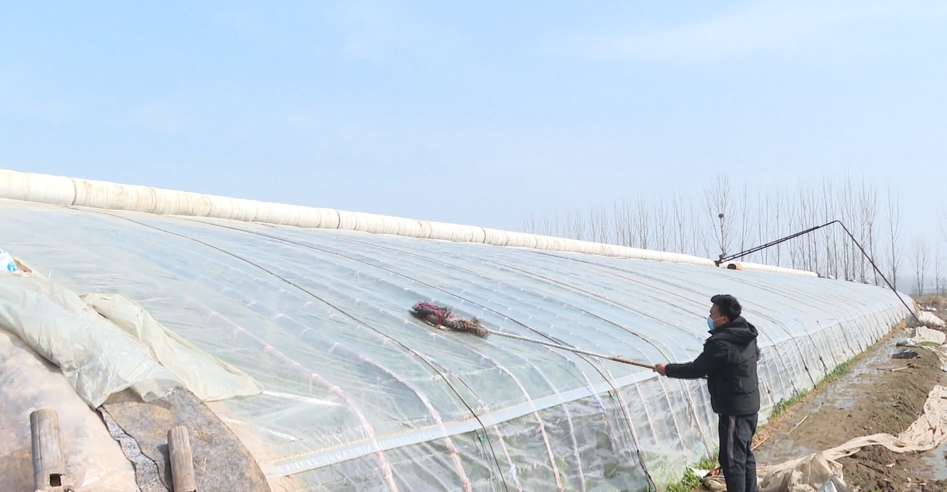 2春耕备耕济阳曲堤黄瓜大棚.jpg