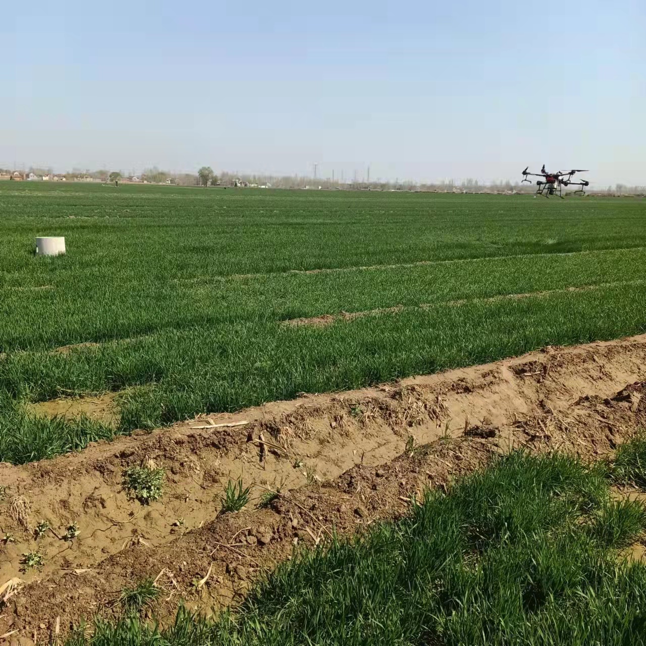 农行山东济阳支行让春耕备耕走上智能化 (1).jpg