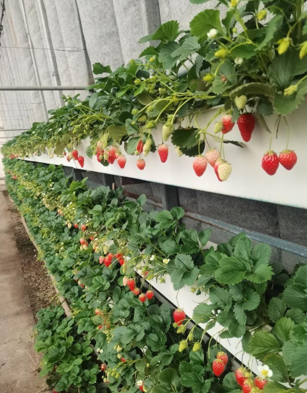 1673919908593058670.png QQ截图20230113153041.png