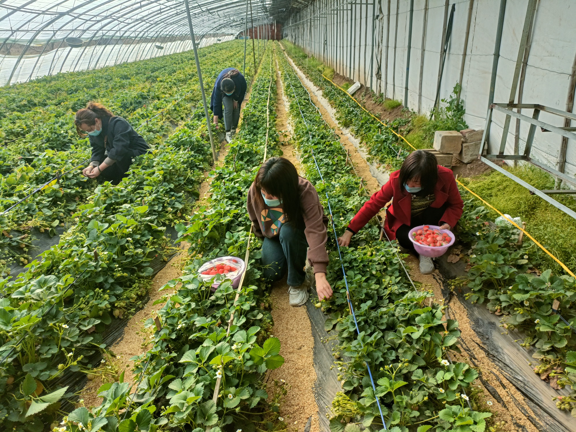 1716800108103061540.jpg mmexport1715930519474.jpg