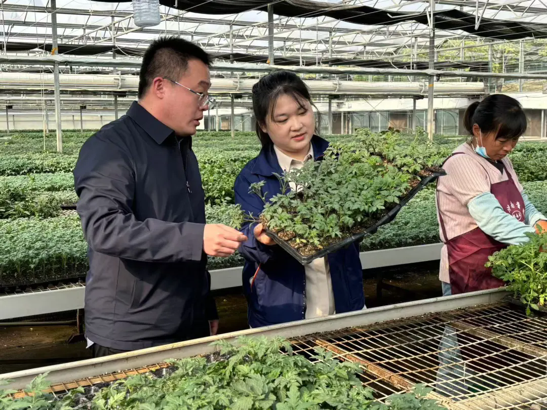 1732260450012053714.png 640.webp (1).png