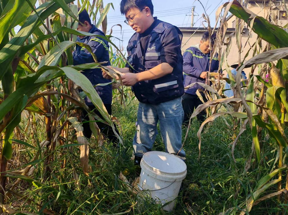 1760666833012086414.png 图片 7.png